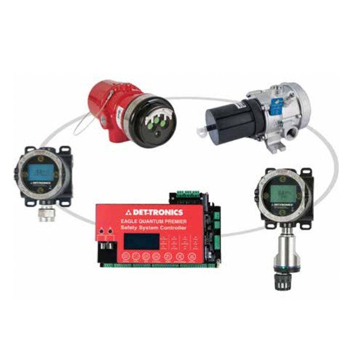 Flame & Gas Detection Systems